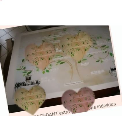 Mon arbre généalogique - Les tarifs du généalogiste professionnel